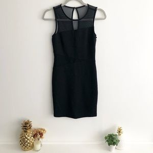 Mesh Trim Fitted Bodycon Dress